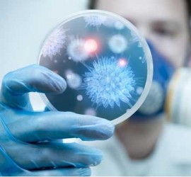 cientifica analizando unas bacterias